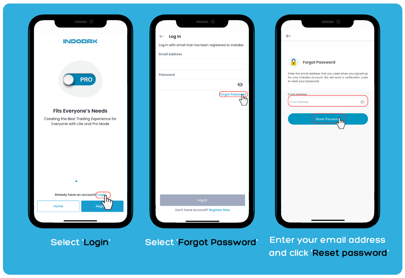 LupaPasswordEN-APP.png